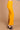 #color_new-mustard
