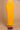 #color_new-mustard