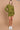 #color_true-moss