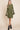 #color_new-olive